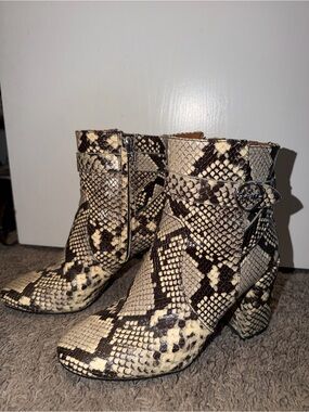 Coach Snake-Print Ankle Boots in Beige and Brown